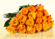 20 Orange Gelbe Rosen nur 19,90 &euro; inkl. Versand