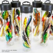 F&uuml;r den sehr frischen Fisch... Wobbler Set 10 St&uuml;ck gemischt