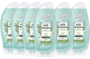 6er Pack (6 x 250 ml) Duschdas Duschgel Wilde Blumenwiese Apfelbl&uuml;te & Salbei