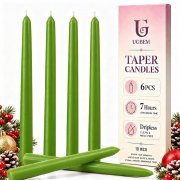 6er Pack gr&uuml;ne Stabkerzen f&uuml;r 6,79&euro;