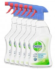 6x Sagrotan Dettol Desinfektionsmittel Allzweck Spr&uuml;hreiniger 