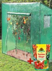 Tomatengew&auml;chshaus gro&szlig; bei Westfalia