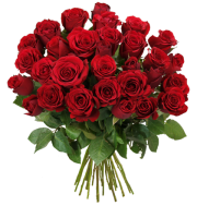 44 Rote Rosen (50cm L&auml;nge) nur 20,99 &euro;