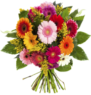 Blumenstrau&szlig; &bdquo;Chic&ldquo; mit Gerberas nur 19,95 &euro;