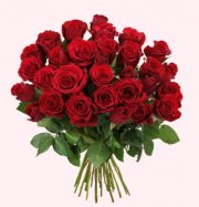 37 rote Rosen (mit 50cm L&auml;nge) von: blumeideal.de f&uuml;r 25 Euro