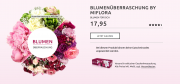 Miflora sommerliche Blumen&uuml;berraschung f&uuml;r 22,90&euro;