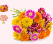 35 bunte Gerbera f&uuml;r 20,94&euro; inkl. Versand