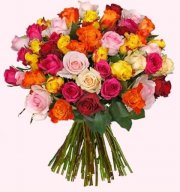 8 bunte Rosen (mit 50cm L&auml;nge) von: blumeideal.de f&uuml;r 24&euro; inkl. Versand.
