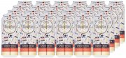 Warsteiner Premium Pilsener im limitierten Deutschland Design (24 x 0.5 l)