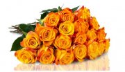 22 orangefarbene Marie Claire Rosen f&uuml;r 18,90&euro; inkl. Versand