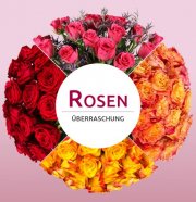 Rosen&uuml;berraschung mit 20-25 Rosen f&uuml;r 17,90&euro;