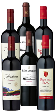 Probierpaket PHILIPPE DE ROTHSCHILD CARMEN&Egrave;RE CHILE" Ein Hauch von Frankreich in Chile