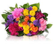 Bunter Blumenstrau&szlig; Las Vegas bei Miflora f&uuml;r 19,95&euro;
