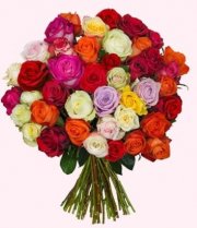 41 bunte Rosen f&uuml;r 23,94&euro; inkl. Versand