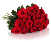 20 rote Rosen der sorte Red Naomi f&uuml;r nur 18,90&euro; inkl. Versand