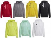 adidas Entrada 22 Hoodies