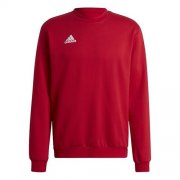 Adidas Entrada 22 Sweatshirt f&uuml;r ca. 24,50&euro; (Gr. S)