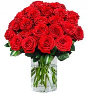 Aktionsrabatt! 50% Rabatt auf XXL Premium-Rosen + Wunschtermin Lieferung