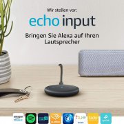 Amazon Echo Input