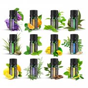 ANJOU &Auml;therische &Ouml;le Set 12 x 5 ml f&uuml;r z.B. f&uuml;r Aroma-Diffuser,Luftbefeuchter oder Massage