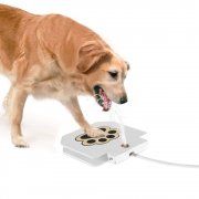 Anself Trinkbrunnen f&uuml;r eure Hunde f&uuml;r nur 28,99&euro; statt 34,99&euro;