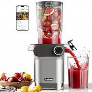 Anybear Slow Juicer (200W) mit 110mm Einf&uuml;llschacht f&uuml;r 119,99&euro;