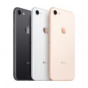  Apple iPhone 8 - 64GB - Spacegrau - Silber - Rot - Gold - WOW! nur 399&euro;