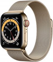 Apple Watch Series 6 (GPS + Cellular, 40 mm) Edelstahlgeh&auml;use Gold, Milanaise Armband Gold