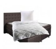 Bettenset VENEDIG, Steppbett, Bettdecke & Kopfkissen, OekoTex, Gr&ouml;&szlig;e 135 x 200 + 80 f&uuml;r 19,99&euro;