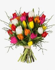 Blume Ideal &ndash; 20% auf Tulpenstrau&szlig; mit Gutschein