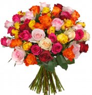Blume Ideal - 45 bunte Rosen f&uuml;r 24,98