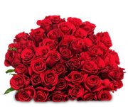 Blume Ideal - Blumenstrau&szlig; mit 44 roten Rosen 