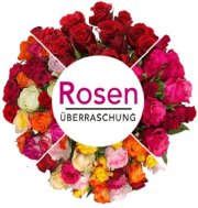 Blume Ideal Rosen&uuml;berraschung: Strau&szlig; mit 28 bunten Rosen f&uuml;r 19,98&euro;