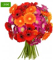 BlumenIdeal &ndash; 37 bunte Gerbera f&uuml;r 21,98&euro;