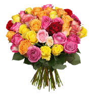 Blumenstrau&szlig; &ldquo;GrandeRoses&rdquo; mit 44 bunten Rosen (50cm Stiell&auml;nge) f&uuml;r 22,98&euro;