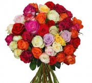 Blumenstrau&szlig; mit 34 bunten XXL-Rosen f&uuml;r 20,98 &euro; inkl. Versand