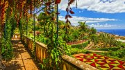 Blumentraum auf Madeira + Katamarantour ab 389&euro; basierend auf 2 Personen