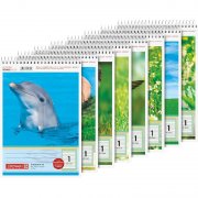 Brunnen Schulblock DIN A5 (40 Blatt) f&uuml;r nur 2,26&euro; bei Amazon