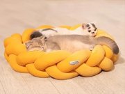 CheerPals Katzenbett (60cm) f&uuml;r nur 9,99&euro; bei Amazon