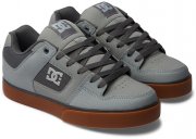 DC Shoes Pure SE Low Top Echtleder Sneaker