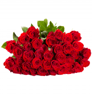 Der klassische Liebesbeweis ! Rosenarrangement 44 Rosen "ClassicRed" f&uuml;r 24,98&euro; statt statt 48,98&euro;