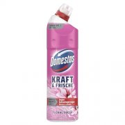 Domestos Kraft & Frische WC Gel Floral Fresh 750 ml f&uuml;r 1,66&euro;