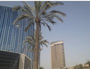 Emirates Direktfl&uuml;ge (return) von Hamburg nach Dubai ab 243 &euro; pro Person / Ende Mai bis Juni.