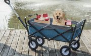 Eugad Handwagen faltbar mit Dach belasbar bis 80kg