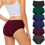 FALARY Baumwoll-Slips (L) im Angebot
