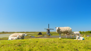 Ferienpark an den D&uuml;nen auf Texel (Nordseeinsel) 3 N&auml;chte ab 159&euro;