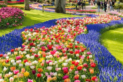 Fr&uuml;hling in Scheveningen (Den Haag) incl. &Uuml;bernachtung f&uuml;r 51&euro;