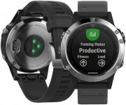 GARMIN Fenix 5 Smartwatch