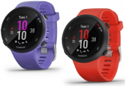Garmin Forerunner 45S GPS-Laufuhr mit Trainingspl&auml;nen, Herzfrequenzmessung usw.