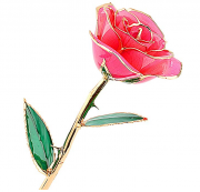 Geschenke 24K Golden Echte Rose f&uuml;r17.99&euro; (statt 38.99&euro;)
